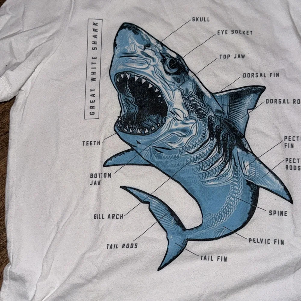 Shark 🦈 tee boys size 10/12 - Picture 2 of 2